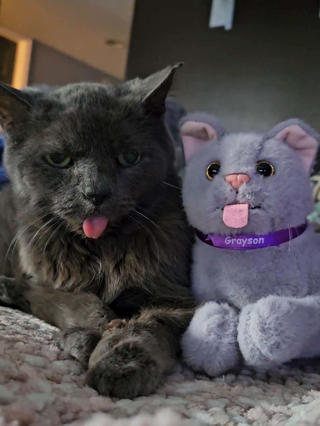 Grayson and his plushie